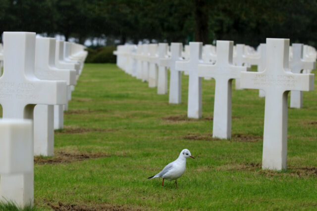 Auf dem amerikanischen  Soldatenfriedhof Omaha Beach